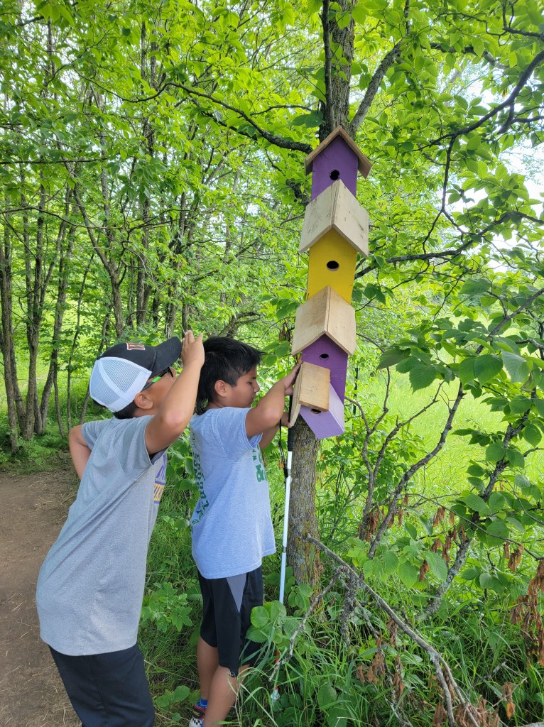 Two boys looking at yellow and purple bird houses. One boy holding a cane is looking with his hands.