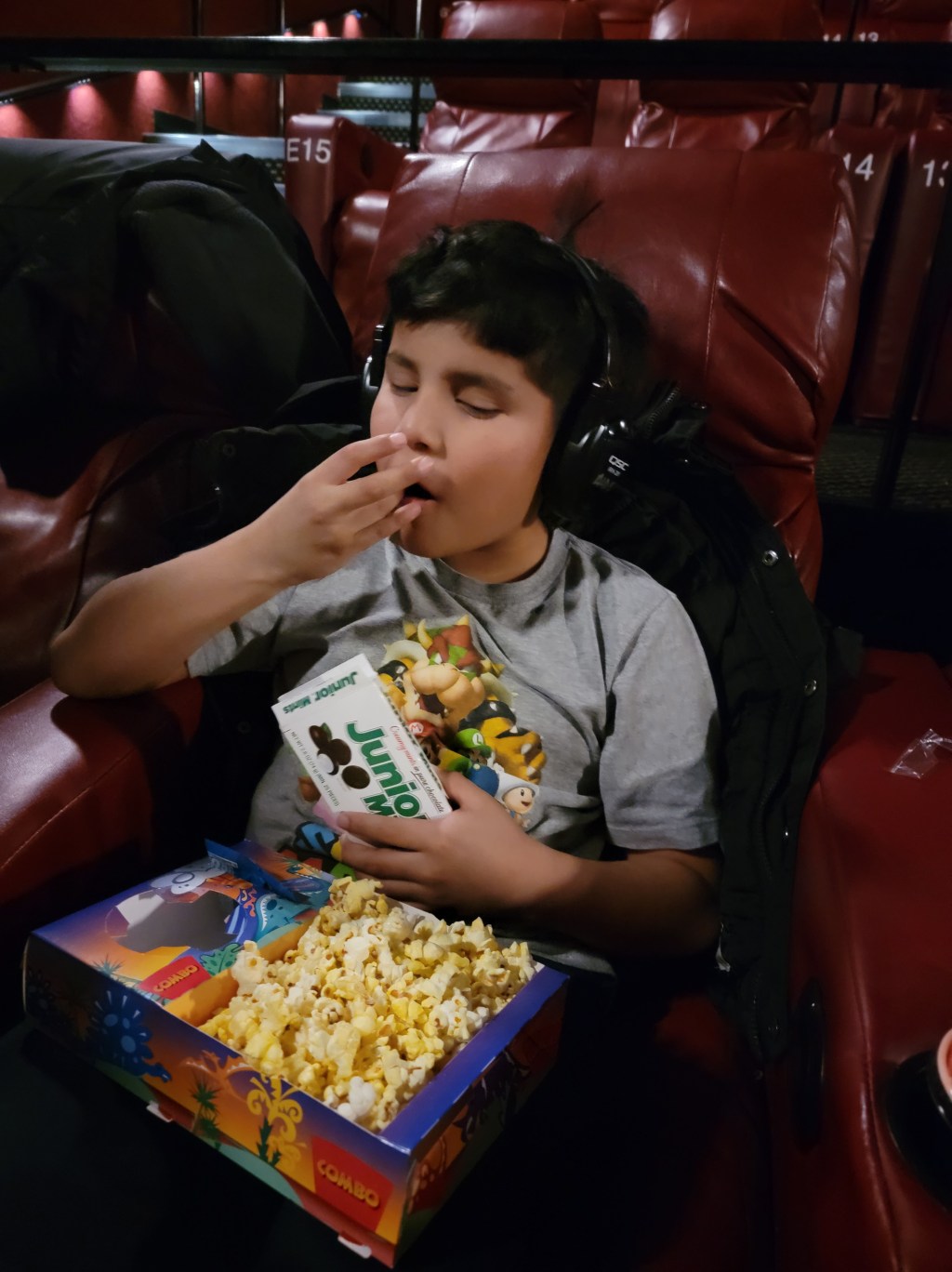 Movie Theaters: Watching With Audio&nbsp;Description